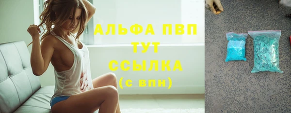 PSILOCYBIN Бородино