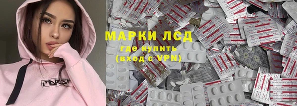 PSILOCYBIN Бородино