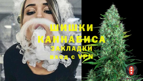 PSILOCYBIN Бородино