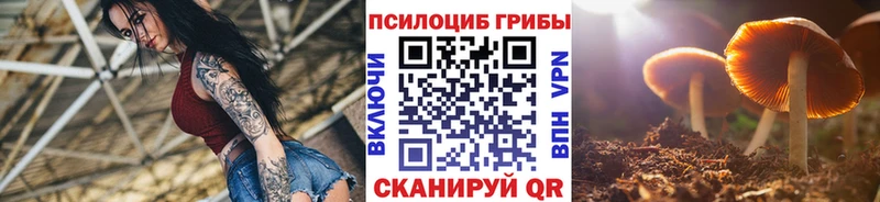 Галлюциногенные грибы Cubensis  Гай 
