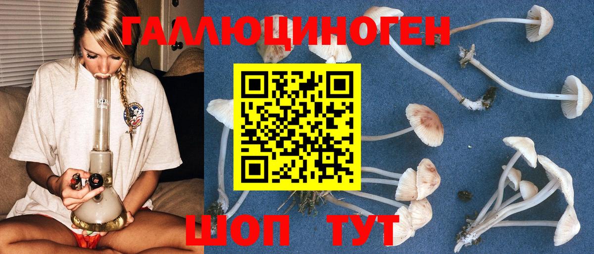 Галлюциногенные грибы мицелий Гай