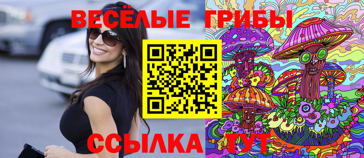 Псилоцибиновые грибы MAGIC MUSHROOMS  Псилоцибиновые грибы мухоморы  Гай  Вход с VPN 