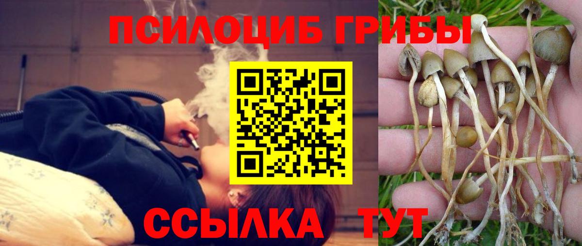 Гай  где купить наркотик  Вход с VPN  Псилоцибиновые грибы MAGIC MUSHROOMS 