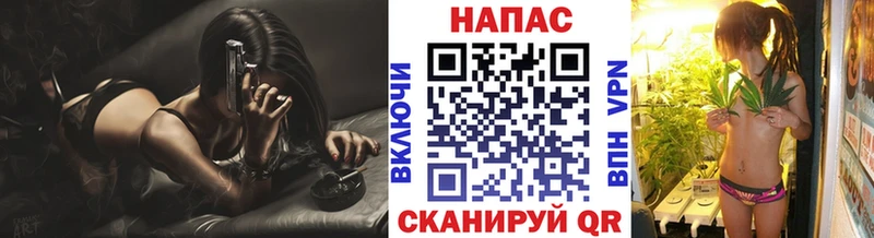 Бошки марихуана индика  Гай 
