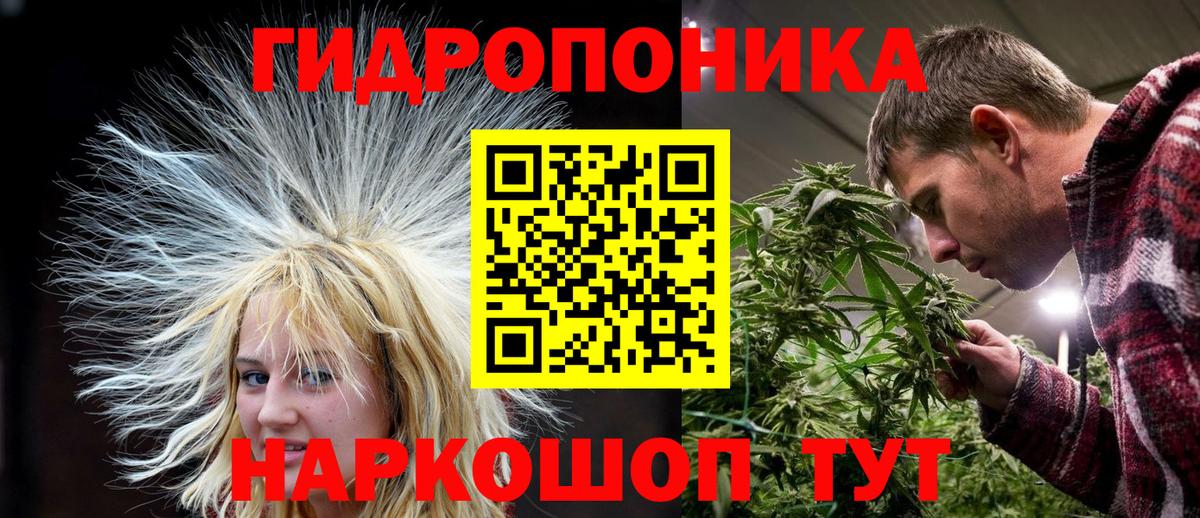 Гай  Бошки Шишки Bruce Banner  Бошки марихуана AK-47  Вход с VPN 